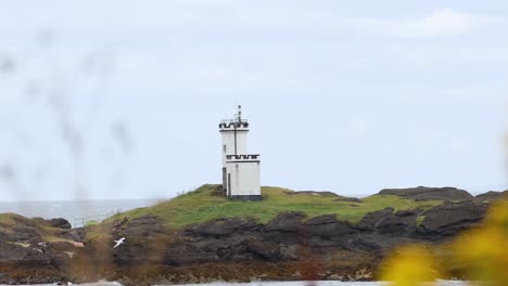a lighthouse stands on a rocky shore, framed by vibrant yellow flowers in the foreground.