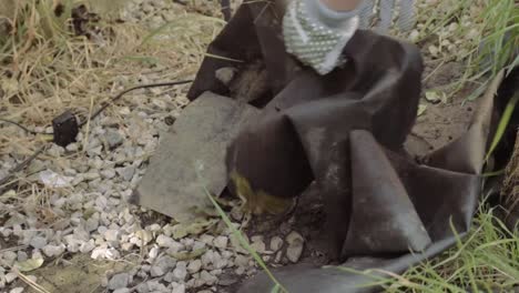 woman removing tarpaulin sheet covering from ground in garden