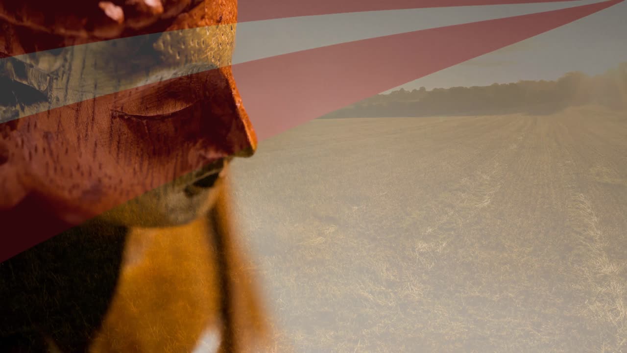 animación de la figura de buda moviéndose sobre la bandera estadounidense