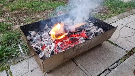 La-Leña-Comienza-A-Arder-Con-Llamas-En-Un-Fuego-De-Barbacoa.