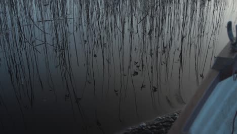 reflection of reeds in water view from boat