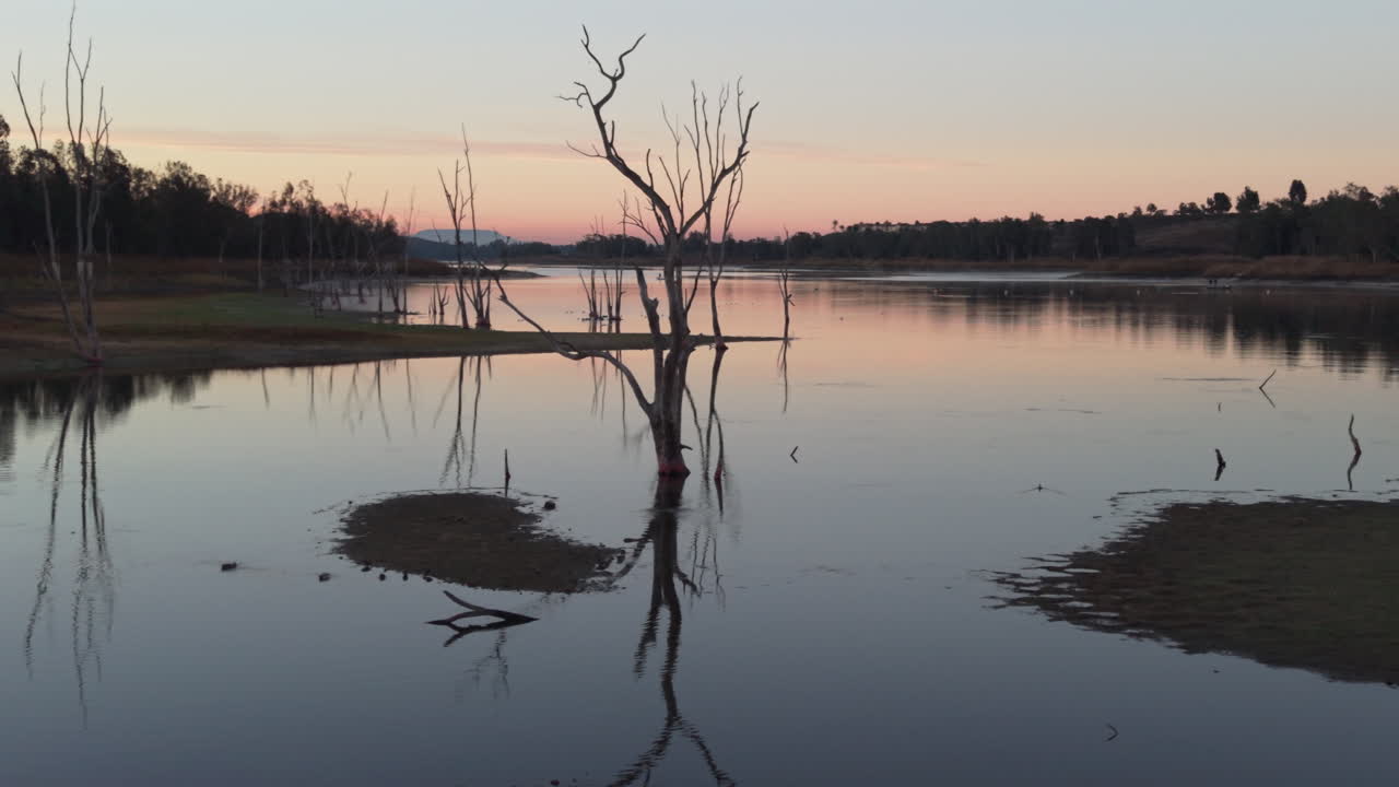 Silhuet af træer ved reservoir i Californien. Otay Lakes i Chula Vista, Californien, langsom dronekredsen ved solopgang