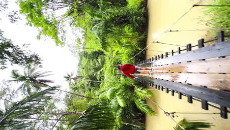 backpackers-in-red-jacket-walking-alone-in-deep-forest-jungle-trekking-path-suspension-bridge-exploring-Central-America-rain-forest-travel-holiday-destination-in-Costa-Rica