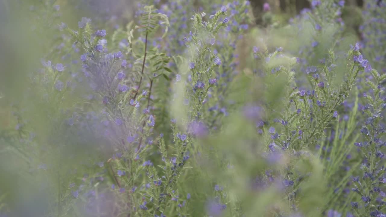 자연이 제공하는 아름다움을 한눈에 볼 수 있습니다.
