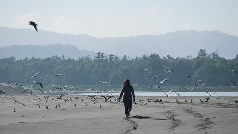 Walking-toward-a-flock-of-birds-in-slow-motion