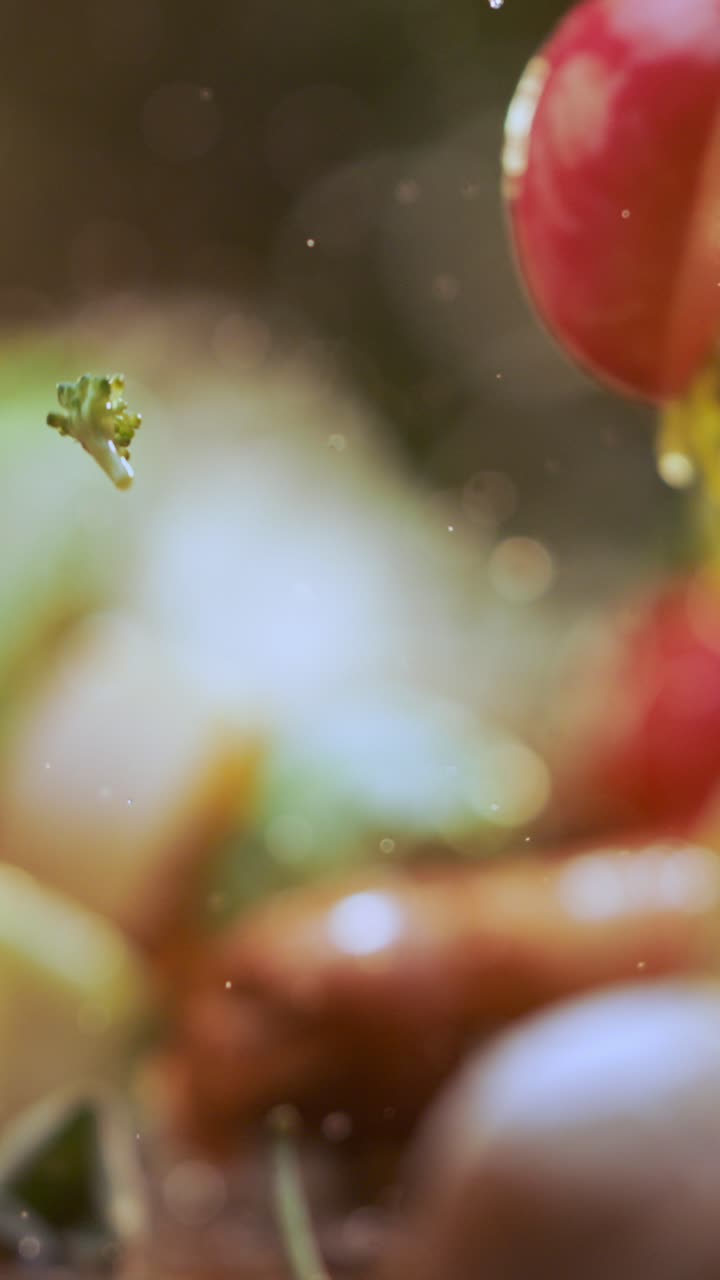 Fresh vegetables in water