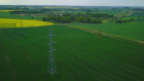 sobrevuelo aéreo floreciente campo de colza, volando sobre exuberantes flores amarillas de canola, idílico paisaje de agricultores con línea eléctrica de alto voltaje, día nublado, amplia toma de drones avanzando