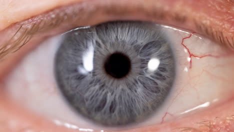 primer plano del ojo