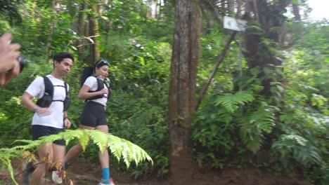 runners in a lush forest trail