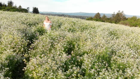 Aerial-of-Young-Woman-Walking-in-Flowers