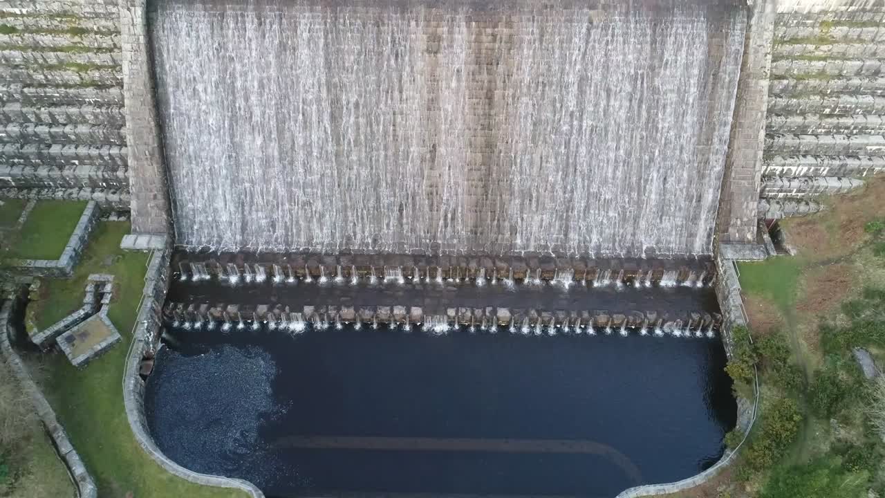 영국 데본에서 천천히 팬 위의 고사리 저수지