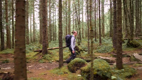 young man backpacking through a large spruce forest, backpack on his back and camera in his hand
