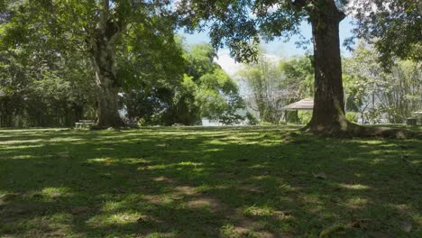 Camping area in Aniana Vargas National Park, Dominican Republic