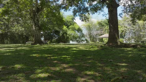 camping area in aniana vargas national park, dominican republic