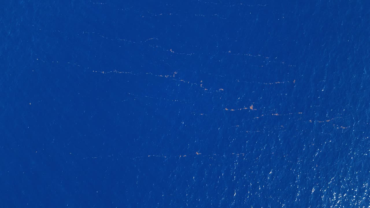 Top-down aerial pan revealing endless blue ocean and sky, creating a serene and expansive background