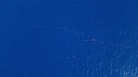 top-down aerial pan revealing endless blue ocean and sky, creating a serene and expansive background