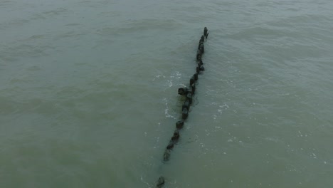 aerial birdseye view of an old wooden pier at the baltic sea coastline, overcast winter day, white sand beach, wooden poles, waves hitting shore, static wide drone shot