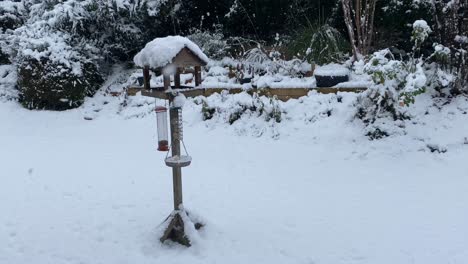 bird table in snowing scene, in an english country garden