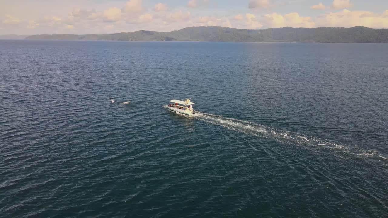 열린 물에서 어선 앞에서 점프하는 병코 돌고래