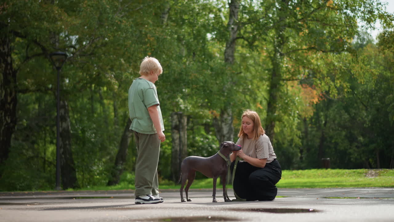 Coordinator And Rescue Dog Walking Under Trees, Person With Dog And Boy Training Outdoors In Summer, Caucasian Individual And Rescue Dog With Boy Are Practicing Recall Outdoors Under Summer Trees
