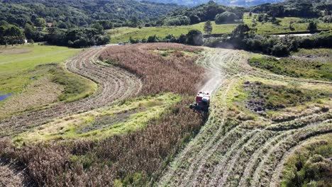 Aerial-orbital-view-of-red-combine-harvester-reaping-corn-from-dry-field-in-rural-area-with-a-loaded-truck-in-the-background