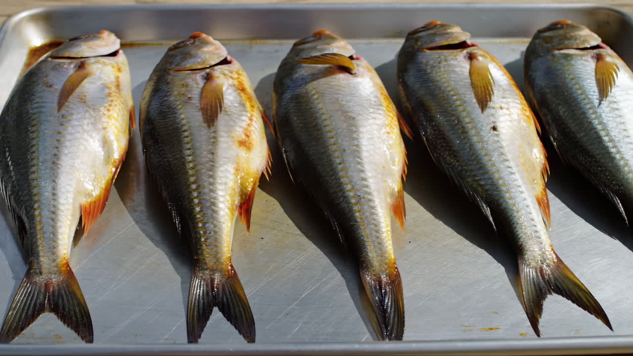 Frisk rå fisk udlagt på en metalbakke