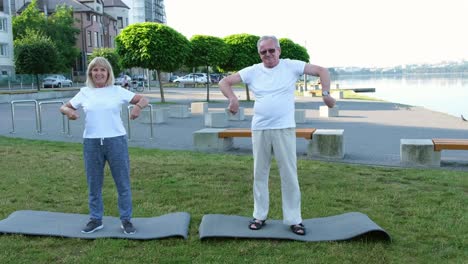 american elderly couple doing yoga or stretching in the park in the morning active lifestyle american elderly couple doing yoga or stretching in the park in the morning active lifestyle exercise and fitness concept