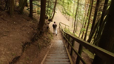 Freihandaufnahme-Eines-Jungen-Mädchens,-Das-In-Einem-Wald-Eine-Treppe-Hinuntergeht