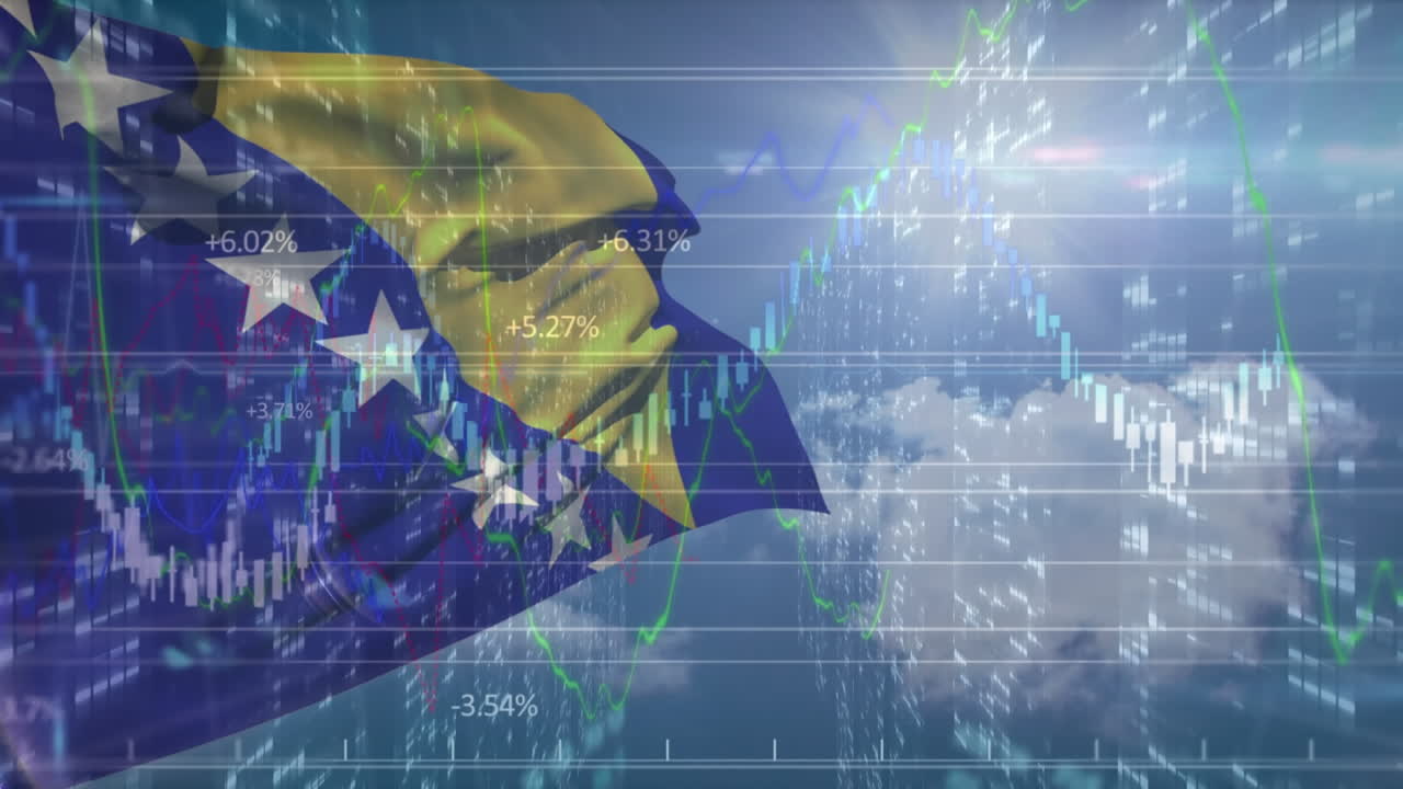 보스니아 헤르체고비나의  ⁇ 발 위의 데이터 처리 애니메이션