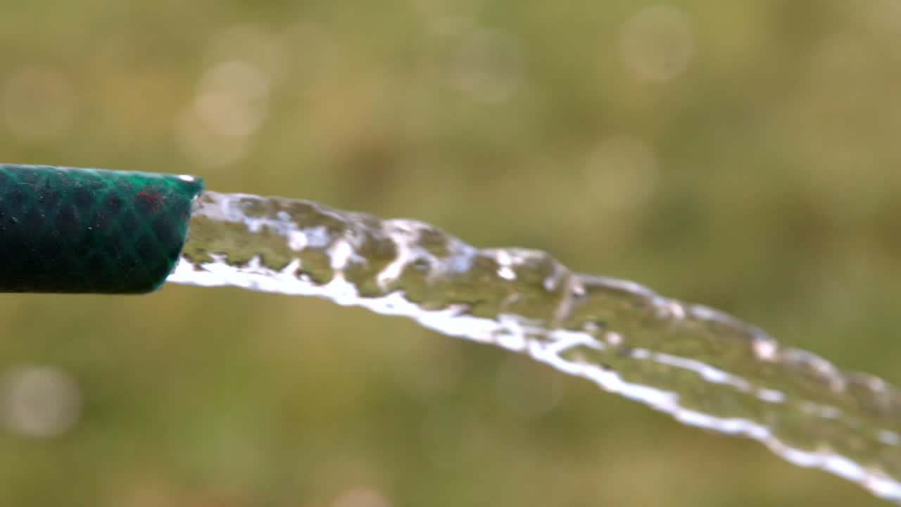 Hose watering grass