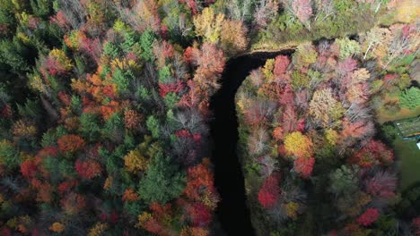 aerial view of clouds shadows moving on colorful forest and river on sunny fall day in american countryside, cinematic top down drone shot