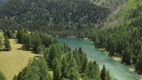 beautiful mountain landscape with trees and a fresh waterstream