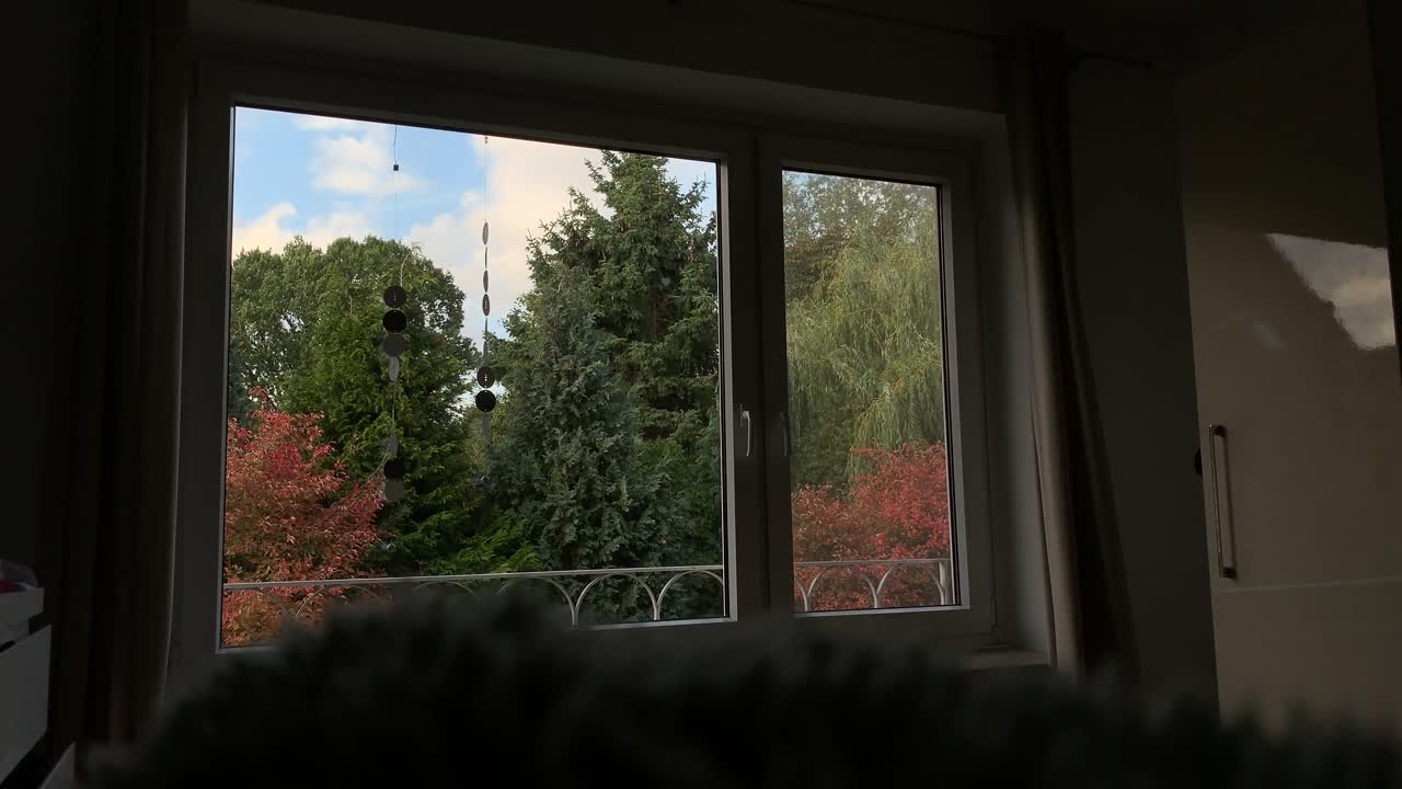 가을에 다채로운 나무 잎의 야외, 흐릿한 따뜻한 담요 보기