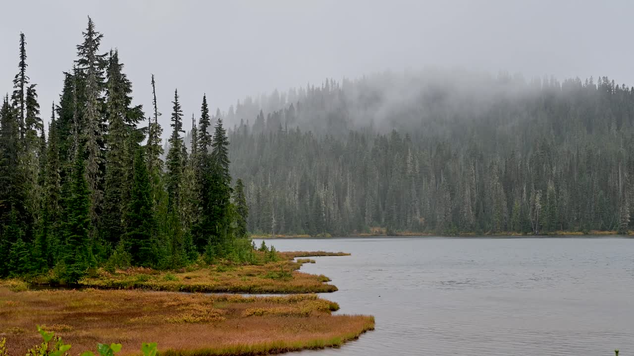 Aerial view of a misty lake shoreline surrounded by dense evergreen forest in a quiet wilderness landscape, Reflection Lake, Mount Rainier National Park