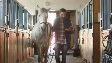 man is walking a white horse in stable while using a mobile phone.