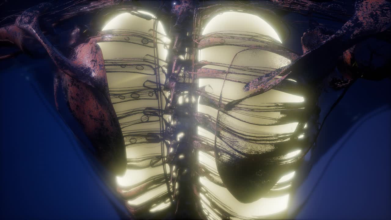 눈에 띄는 폐를 가진 인간의 몸