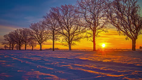 Timelapse-Del-Amanecer-A-La-Mañana---Sol-Naranja-Brillante-Saliendo-Detrás-De-Los-árboles-Durante-El-Invierno