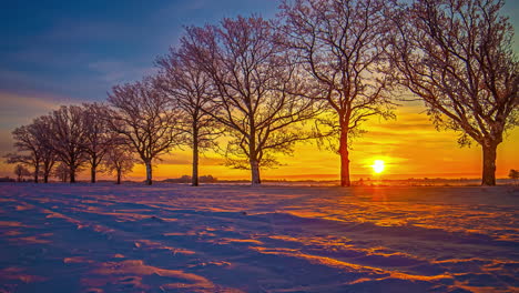 timelapse del amanecer a la mañana - sol naranja brillante saliendo detrás de los árboles durante el invierno