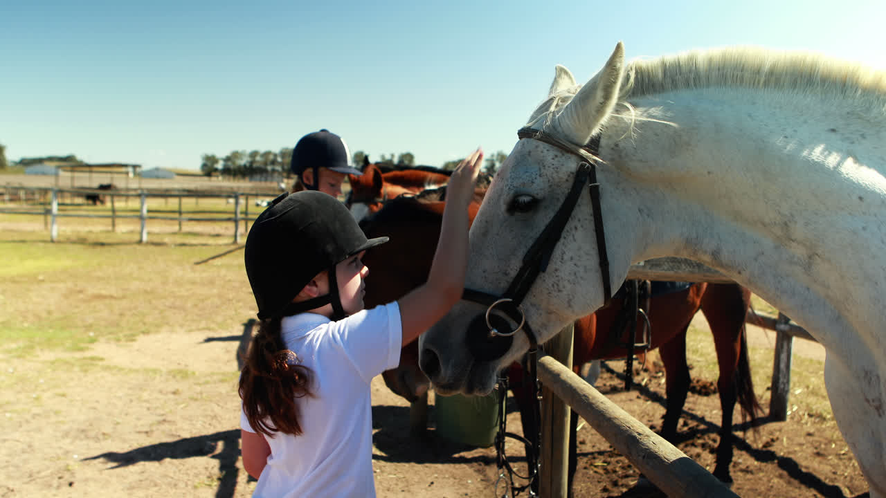 chicas acariciando el caballo en el rancho 4k