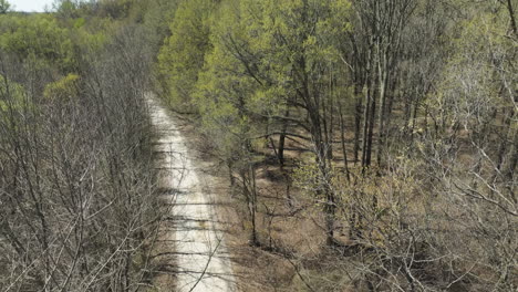 camino de tierra a través del bosque en el refugio nacional de vida silvestre de lower hatchie en tennessee, estados unidos