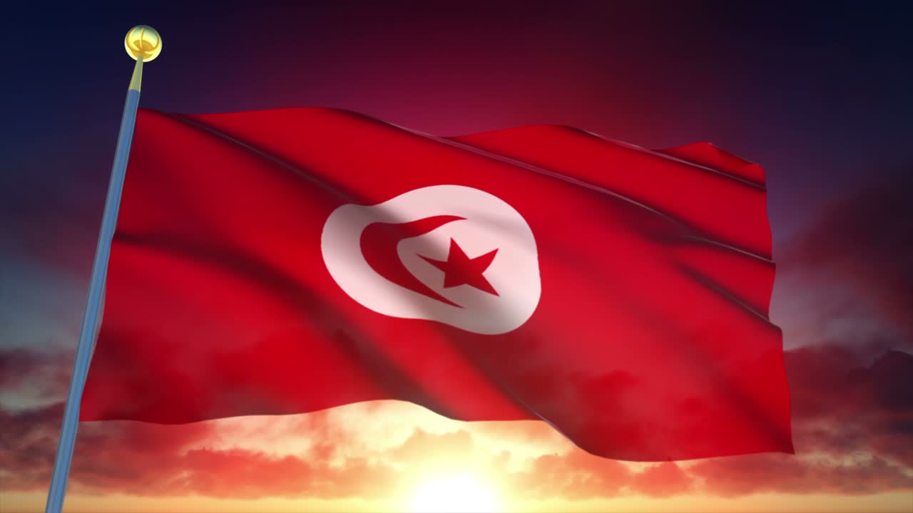 니지 발의 고도로 상세한 4k loopable