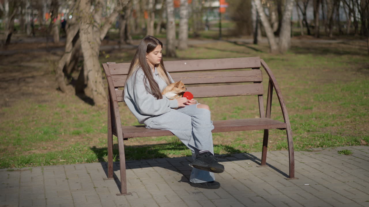 강아지와 함께 있는 소녀, 작은 개와 함께 차분한 하루를 보내는 여성, 공원에서 반려동물과 여유롭게 앉아 있는 젊은 여성, 도시 공원에서 강아지와 함께 평화로운 오후를 즐기는 어린 소녀