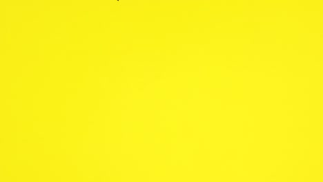 halloween stickers appear on right side of yellow theme. stop motion