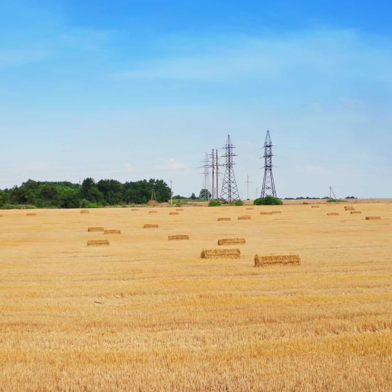 Beautiful yellow field of cut wheat with hay bales. Dry plantation at the backdrop of electric supports and green forest
