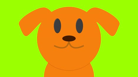 cute cartoon close up of dog labrador loop