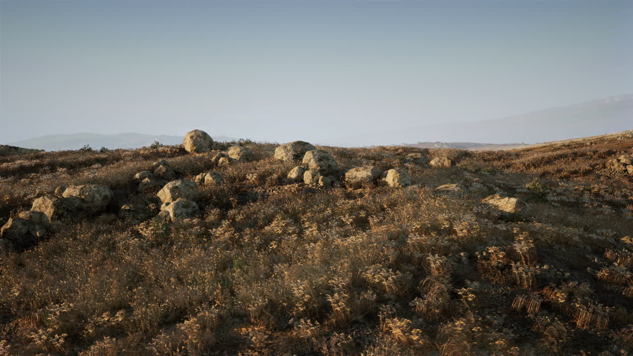 Rolling hills with scattered rocks and wildflowers at sunset