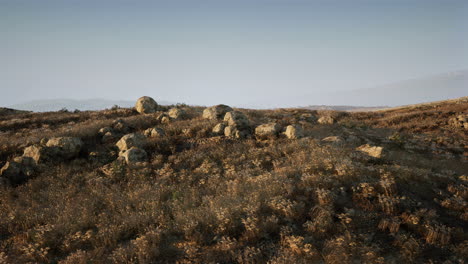 rolling hills with scattered rocks and wildflowers at sunset