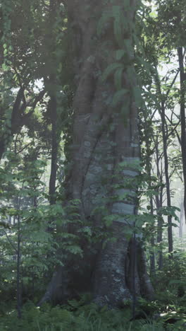 a tall, ancient tree stands in a lush green forest