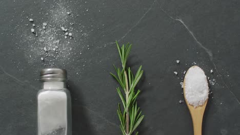 video of rosemary twig and spoon of salt on stone background