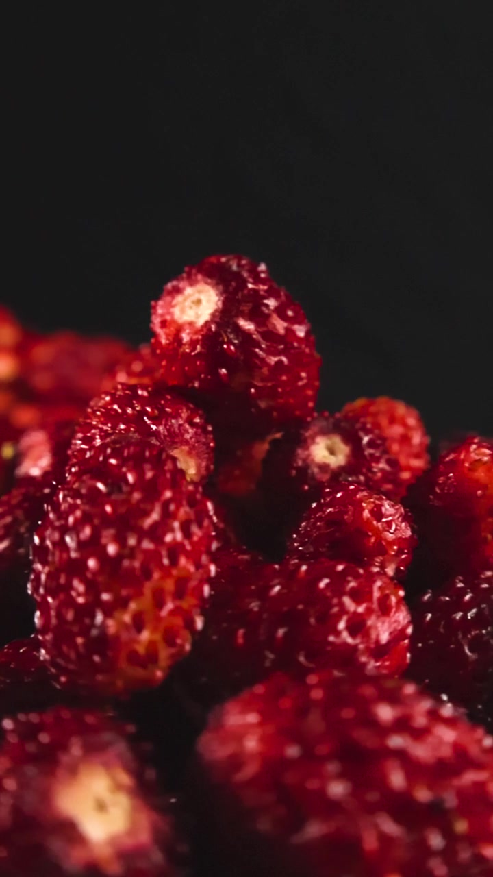 Nahaufnahme von frischen Walderdbeeren in kleinen Keramikschalen auf schwarzem Hintergrund, wobei die Kamera an ihnen vorbeigleitet und die köstlichen und gesunden Bio-Rotbeeren detailliert präsentiert